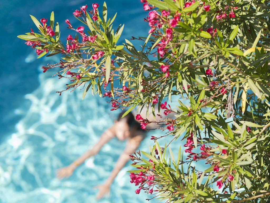 Le Val Duchesse Hotel & Appartements Cagnes-sur-Mer Bagian luar foto